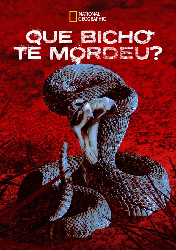 Que Bicho te Mordeu? - Temporada 1