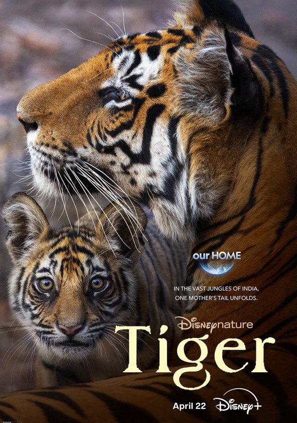 Tigre