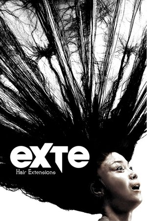 Exte: Extensões Capilares