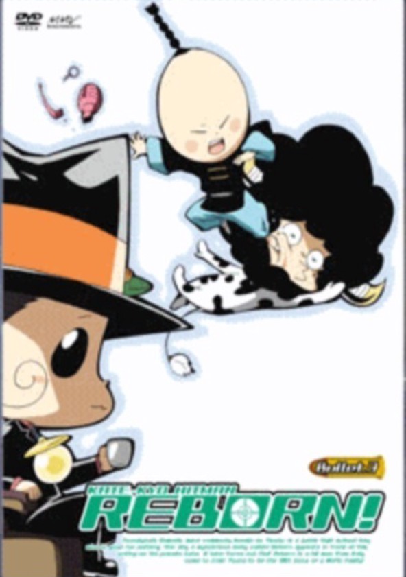 Katei Kyoshi Hitman Reborn! - Temporada 3