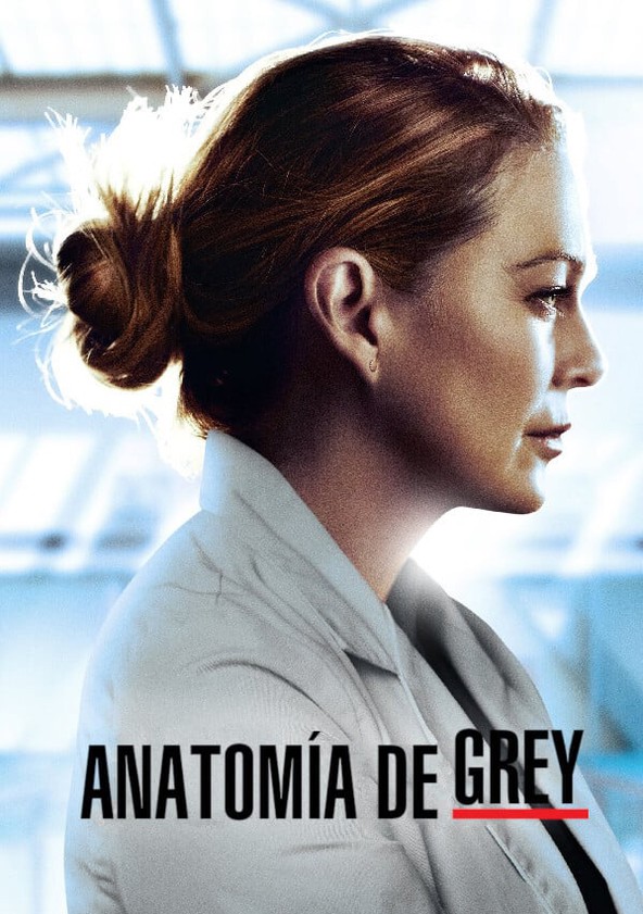 Anatomía de Grey - Temporada 22