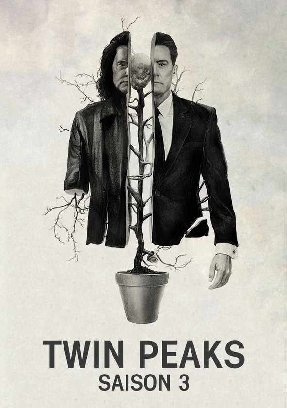 Mystères à Twin Peaks - Saison 3