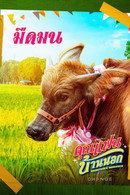 Hometown Romance - Temporada 1
