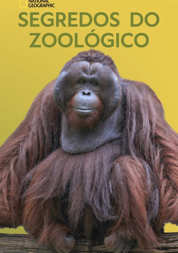 Secrets of the Zoo: The Wild Side - Temporada 3