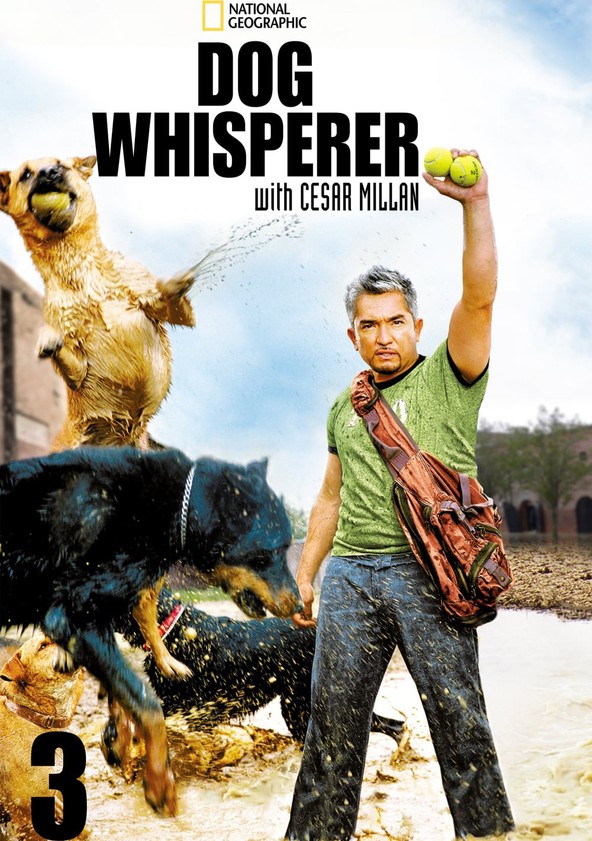 Dog Whisperer with Cesar Millan - Temporada 3