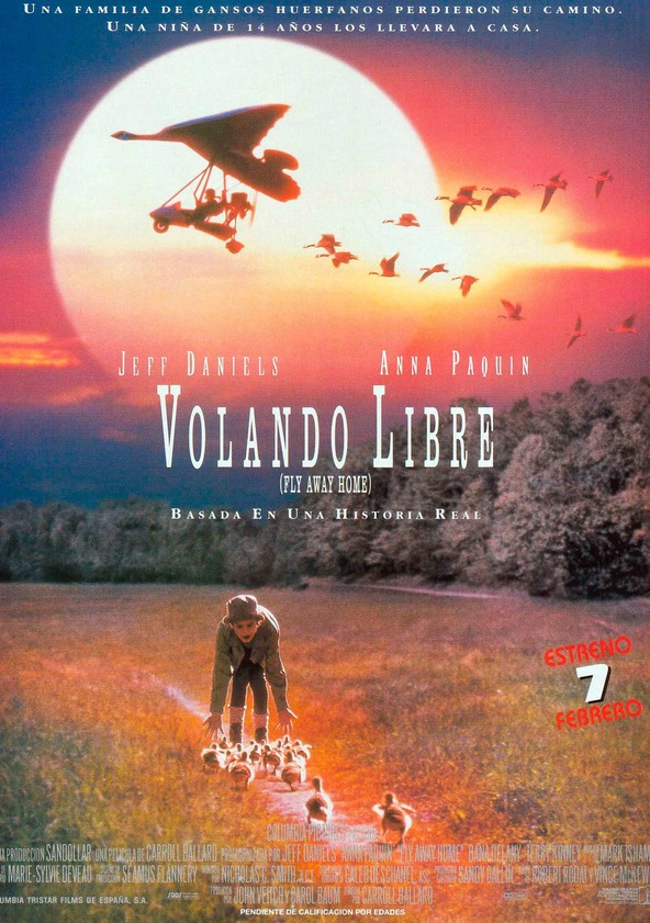 Volando a casa