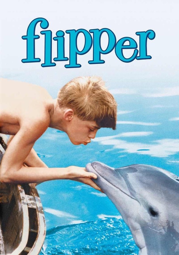 El niño y el delfín