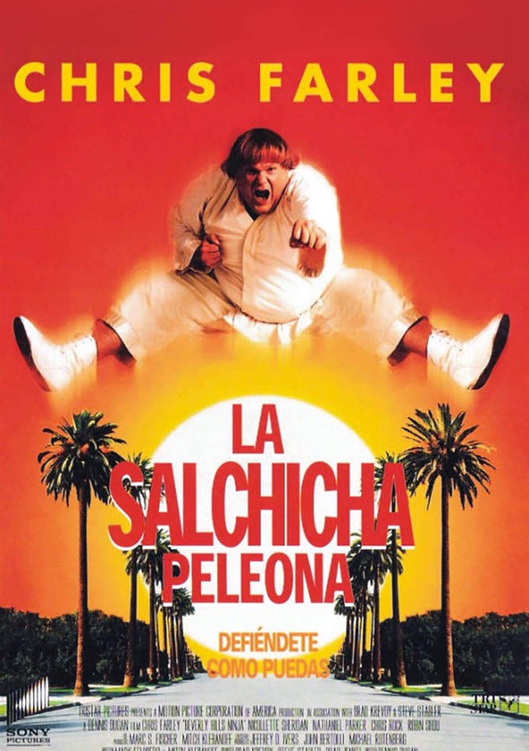 Beverly Hills Ninja