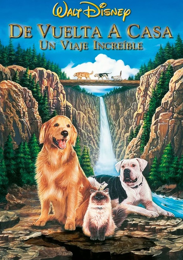 Volviendo a casa: Una aventura increíble