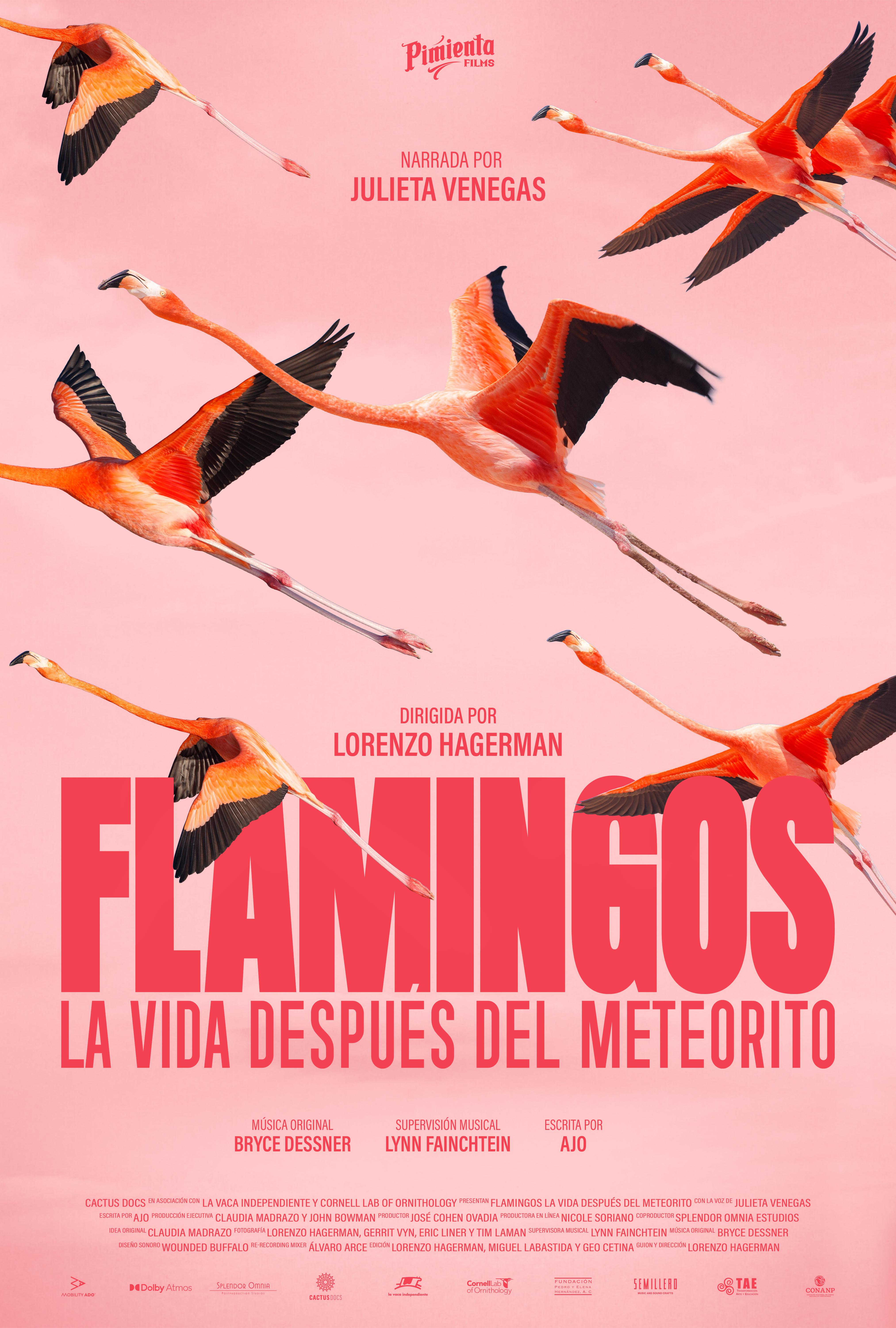 FLAMINGOS La Vida Después del Meteorito