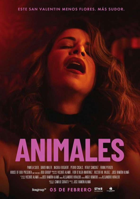 Animais