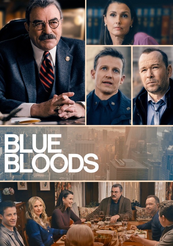 Blue Bloods - Temporada 13
