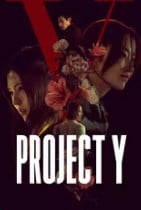 Project Y