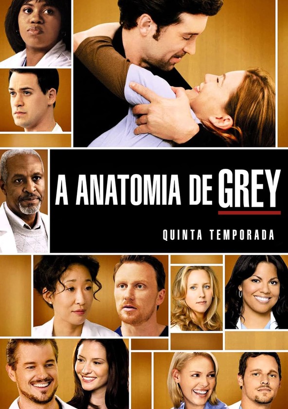 A Anatomia da Grey - Temporada 5