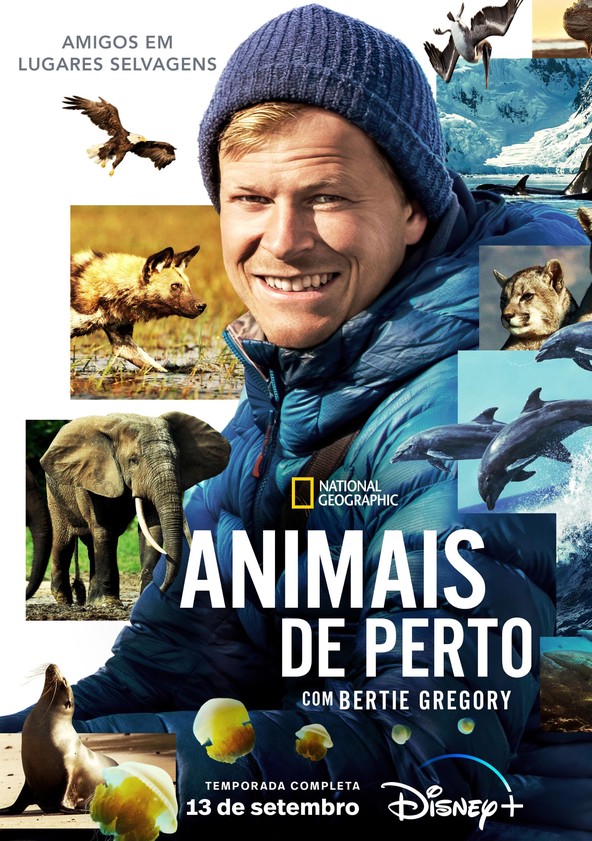 Animais de Perto com Bertie Gregory - Temporada 1
