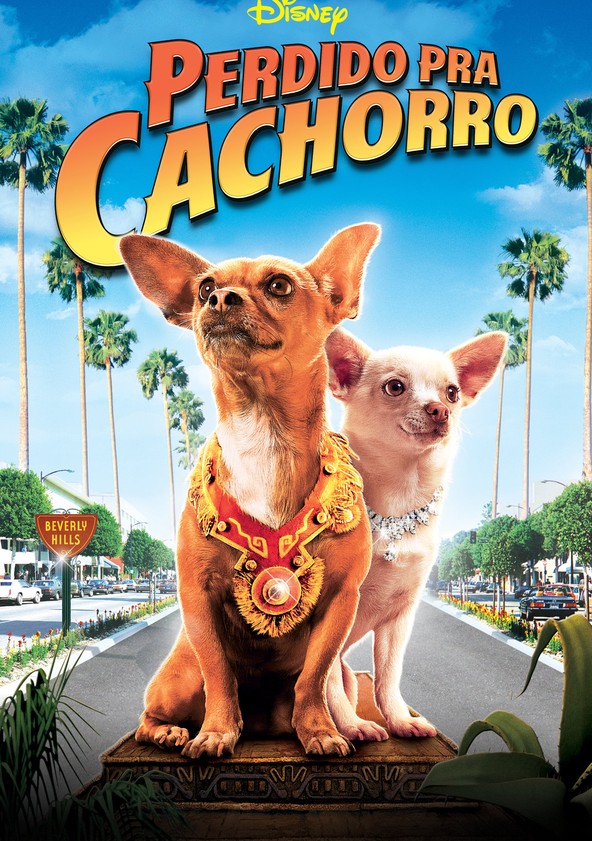 Perdido pra Cachorro