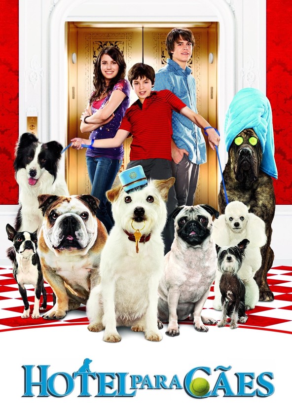 Um Hotel Bom pra Cachorro
