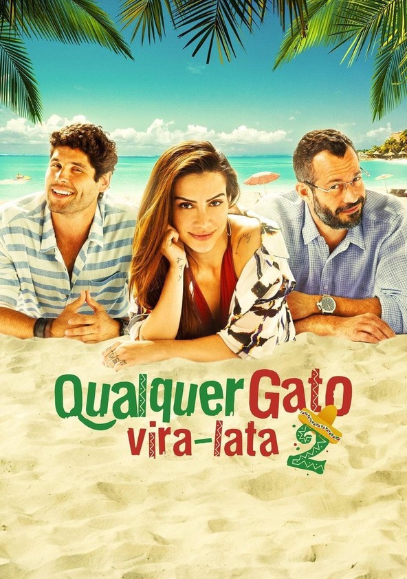 Qualquer Gato Vira-Lata 2