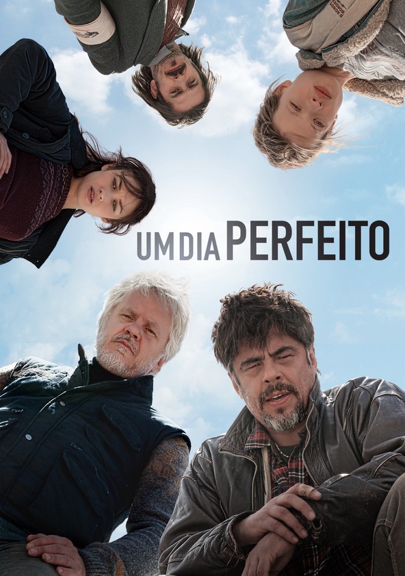Um Dia Perfeito