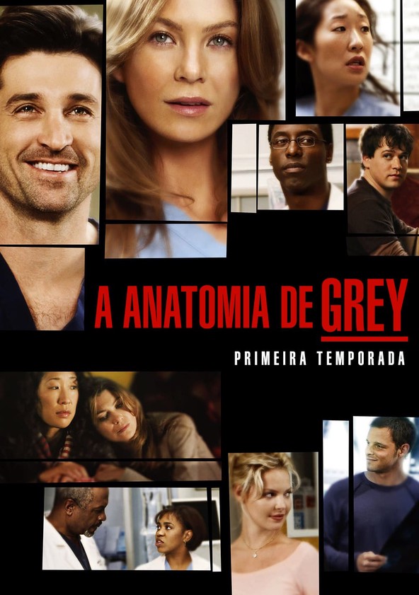 A Anatomia da Grey - Temporada 1