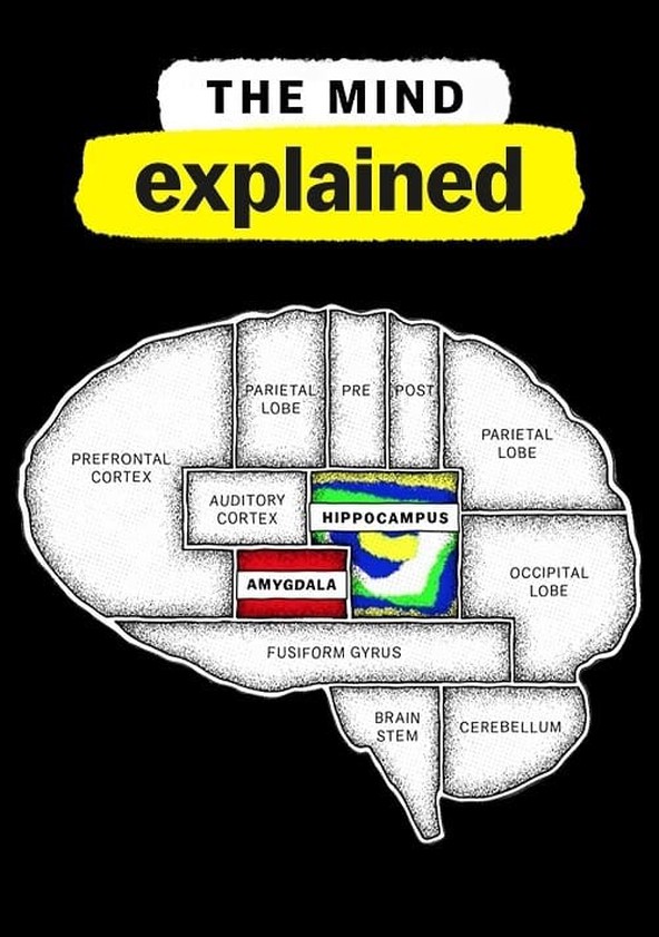 Explicando - A Mente - Temporada 2