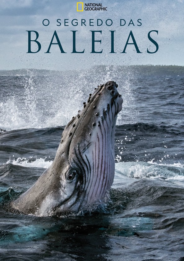 Segredos das Baleias - Temporada 1