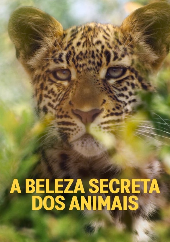 A Beleza Secreta dos Animais - Temporada 1