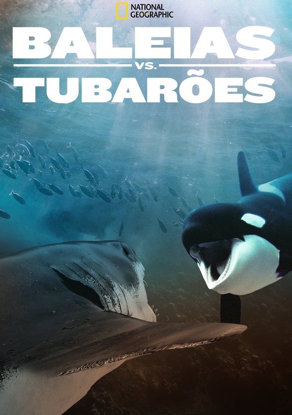Baleias vs. Tubarões