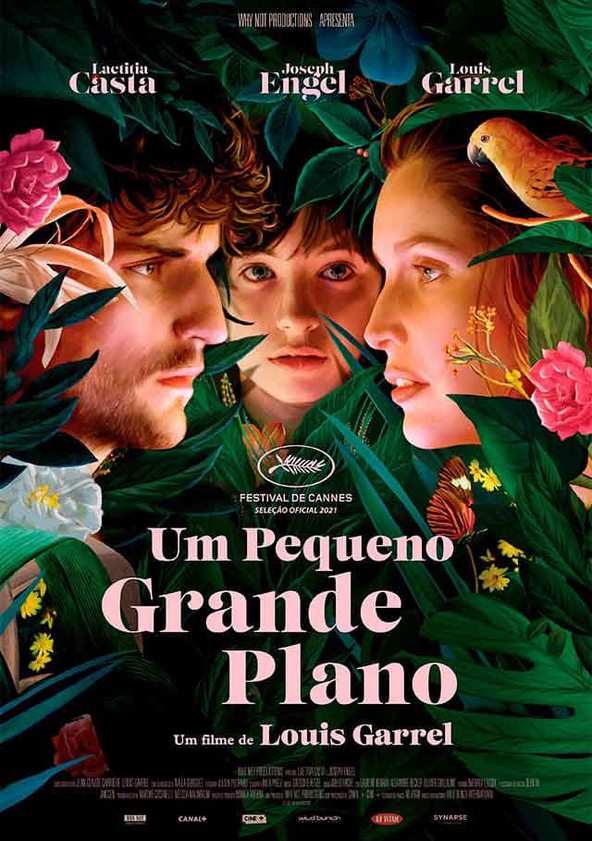 Um Pequeno Grande Plano