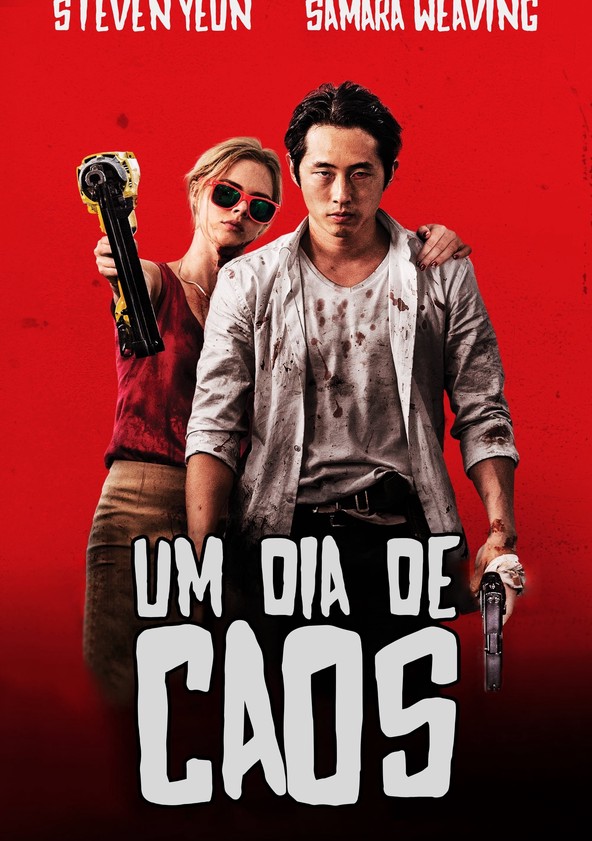 Um Dia de Caos