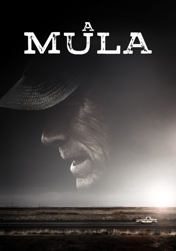 A Mula