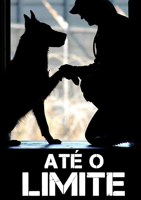MBF: Man's Best Friend