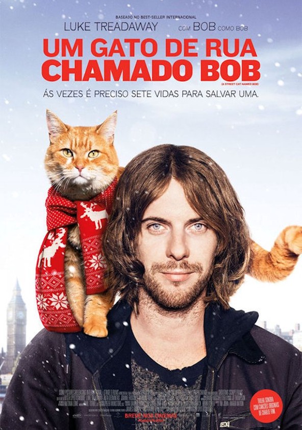Um Gato de Rua Chamado Bob
