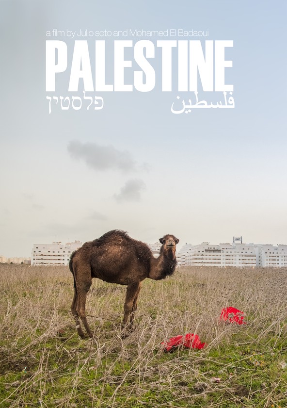 Palestina: Uma Terra em Conflito