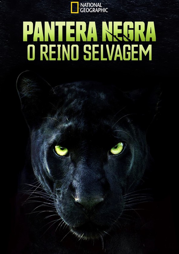 Autêntica Pantera Negra
