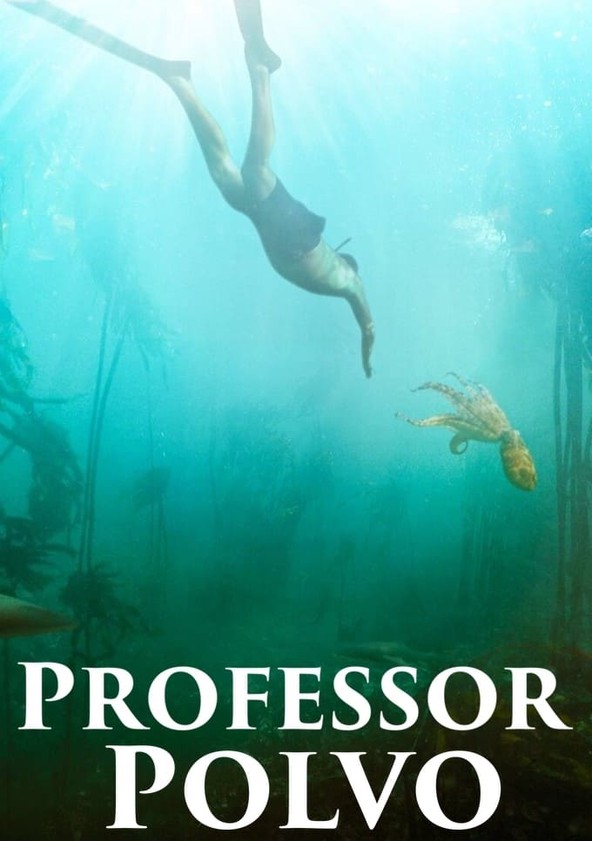 Professor Polvo