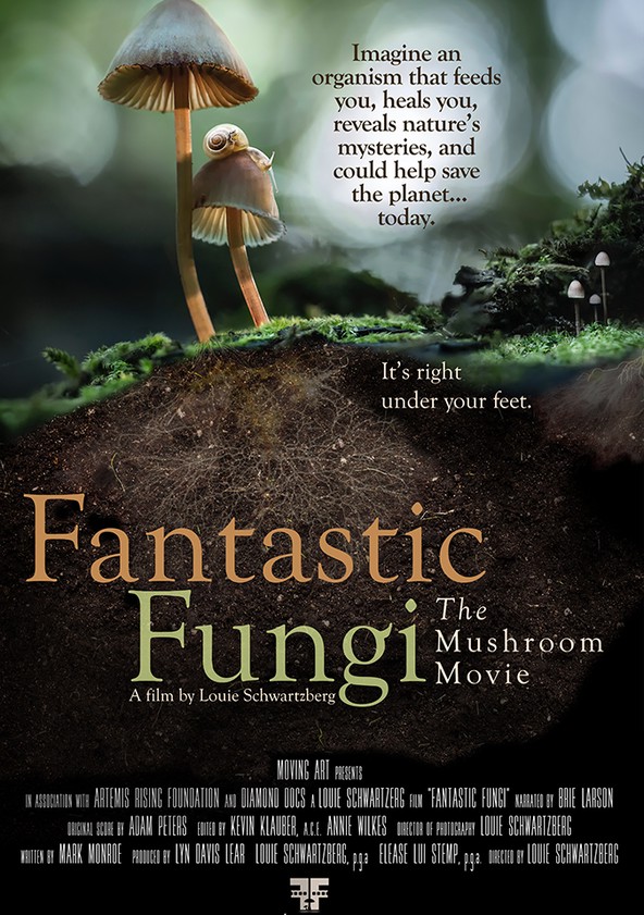 Fungos Fantásticos