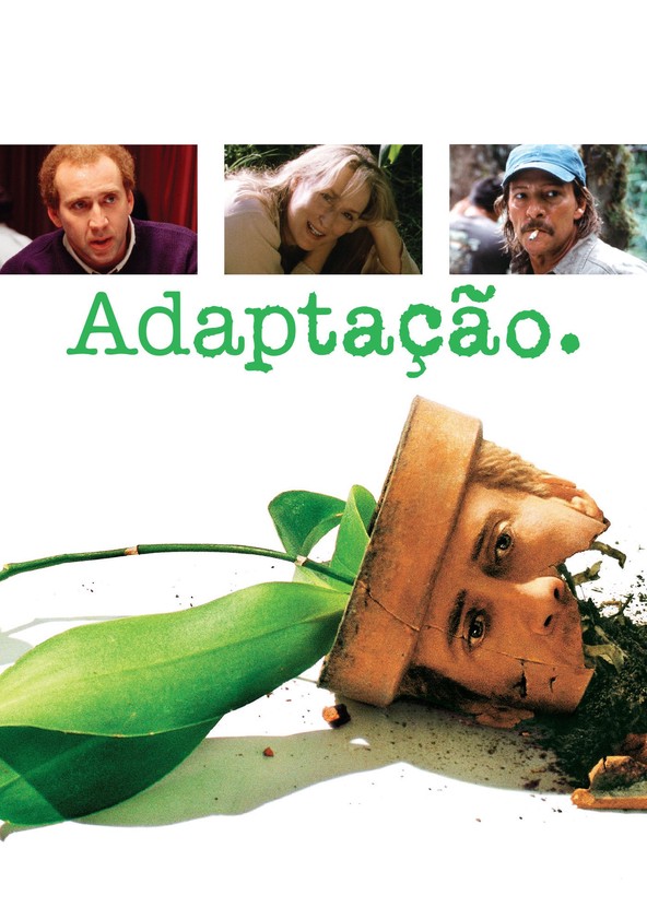 Adaptação