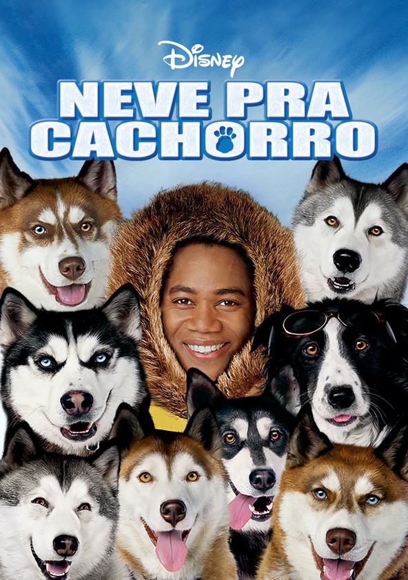 Neve pra Cachorro