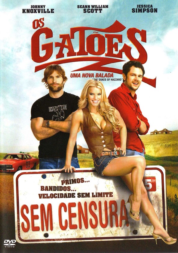Os Gatões: Uma Nova Balada