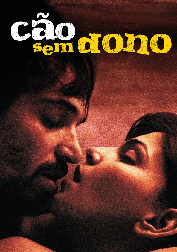Cão Sem Dono