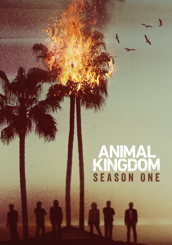 Animal Kingdom - Temporada 1
