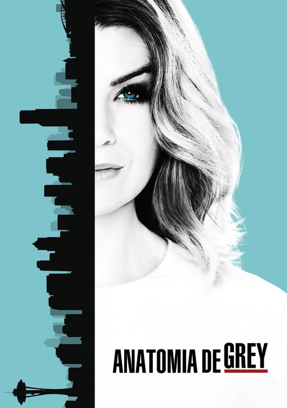 A Anatomia da Grey - Temporada 13