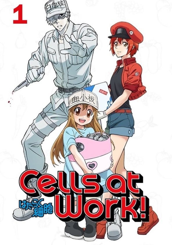 Cells at Work - Temporada 1