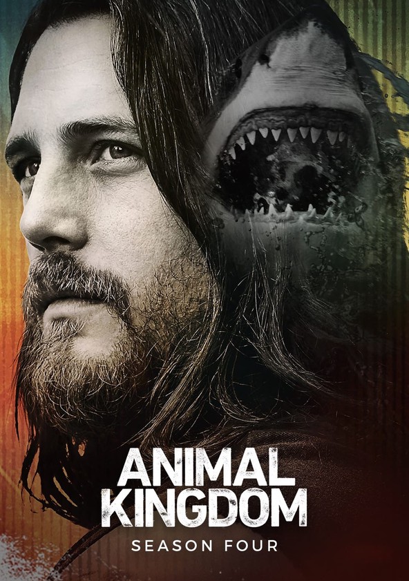 Animal Kingdom - Temporada 4