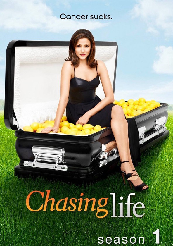 Chasing Life - Temporada 1