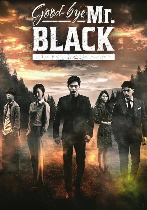 Adeus, Sr. Black - Temporada 1
