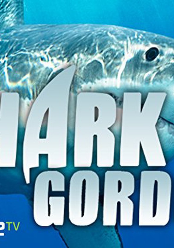 Shark Gordon - Temporada 1