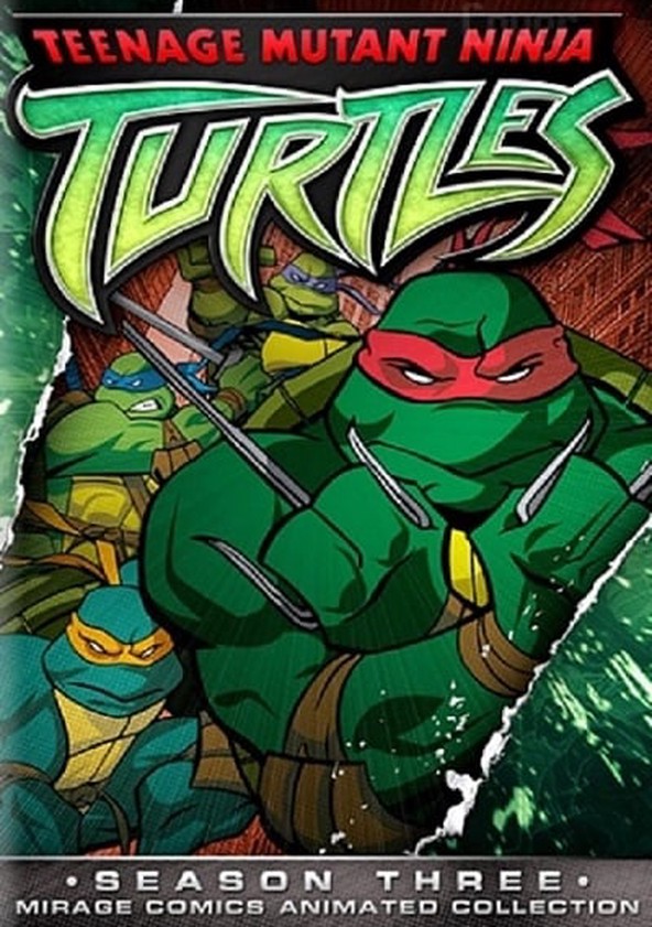 As Tartarugas Mutantes Ninja - Temporada 3