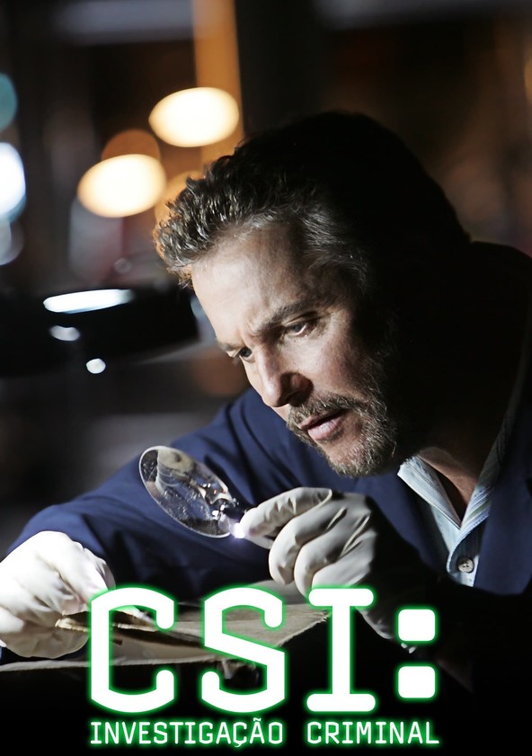 CSI: Crime Scene Investigation - Temporada 8